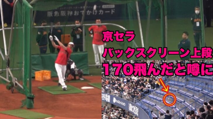 【上段に座ってたが上段にめっちゃ飛んでくる大谷翔平の打撃練習！！】3月7日 対オリックス戦