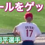 ボールをゲット‼︎【3番DH・大谷翔平選手】対ドジャース・フリーウエイシリーズ第2戦@エンジェル・スタジアム3/27/2023 #大谷翔平 #ohtani #エンジェルス