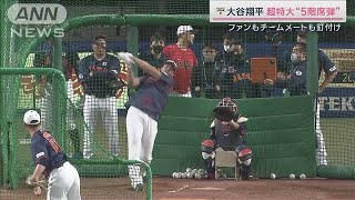 大谷規格外「5階席特大アーチ」ベスト打順は「1番」か(2023年3月4日)