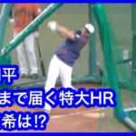 大谷翔平が打撃練習で5階席まで届く特大HRを放った直後の岡林勇希　藤嶋健人も大塚コーチも大興奮！　中日ドラゴンズVS侍ジャパン　壮行試合　2023.3.4