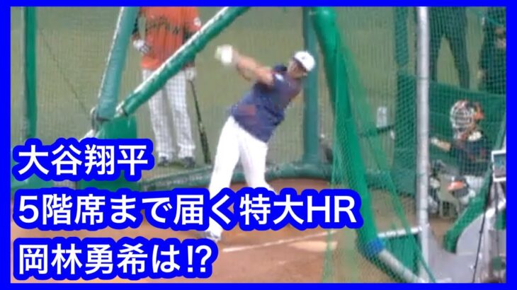 大谷翔平が打撃練習で5階席まで届く特大HRを放った直後の岡林勇希　藤嶋健人も大塚コーチも大興奮！　中日ドラゴンズVS侍ジャパン　壮行試合　2023.3.4