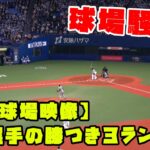 【４K画質】大谷選手　膝をつきながらの３ランに球場中が騒然！！　2023/3/6 WBC侍ジャパン vs 阪神タイガース