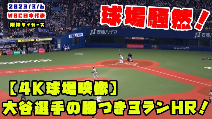 【４K画質】大谷選手　膝をつきながらの３ランに球場中が騒然！！　2023/3/6 WBC侍ジャパン vs 阪神タイガース