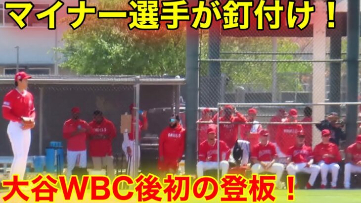 MVP大谷が大注目！WBC後初の登板にマイナー選手が釘付け！【現地映像】