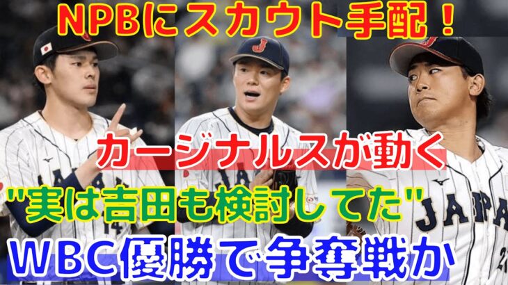 【カージナルス】NPBへスカウトを手配！WBC優勝を受けて日本人選手は争奪戦が起きるか！