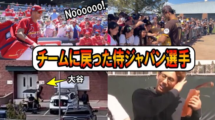 チームに戻った侍ジャパン選手！ヌートバー「Nooooo!」大声援を送られる！大谷翔平やダルビッシュもチームに合流！