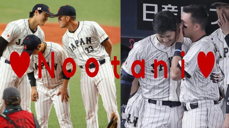 【Nootani】ヌータニリアクション＆ヌートバーまとめ【大谷翔平×ヌートバー】