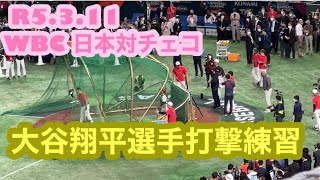 R5.3.11 WBC日本対チェコ 大谷翔平選手打撃練習！