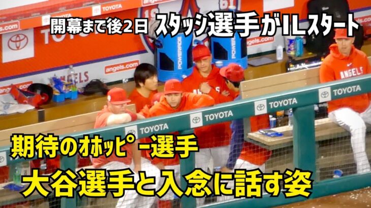 期待のオホッピー選手 大谷選手と入念に話す姿 Shohei Ohtani Angels  大谷翔平