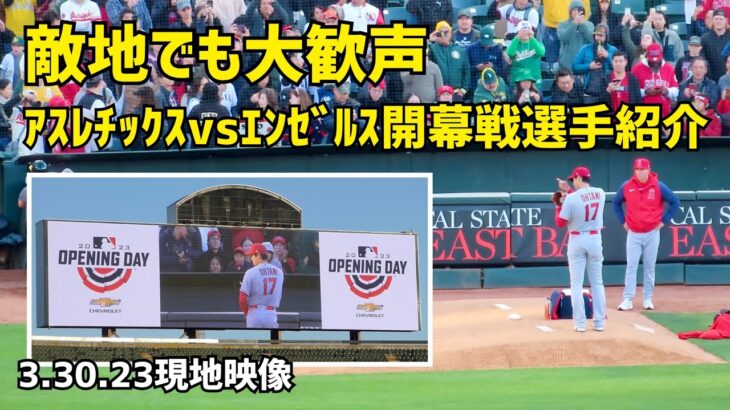 ｶｯｺｲｲ 敵地でも大歓声 大谷翔平選手 開幕戦選手紹介 Shohei Ohtani Angels  大谷翔平