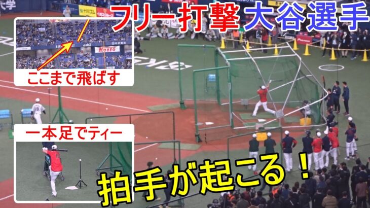 拍手が起こるフリー打撃！【大谷翔平選手】 Shohei Ohtani WBC 2023 vs Hanshin Tigers