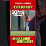 出口がわからない大谷さん #大谷翔平 #Shorts