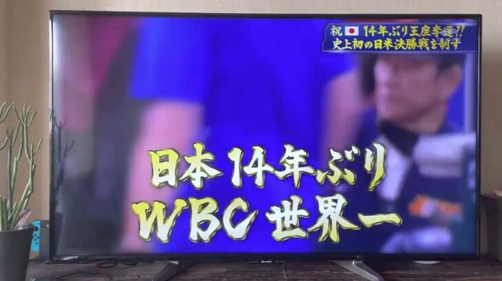 WBC ９表　大谷翔平