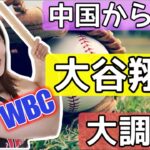 大谷翔平の嫁になりたい中国女子！ヌートバーは？WBC野球侍ジャパンの人気選手