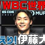 おかえり伊藤大海【祝！WBC世界一】