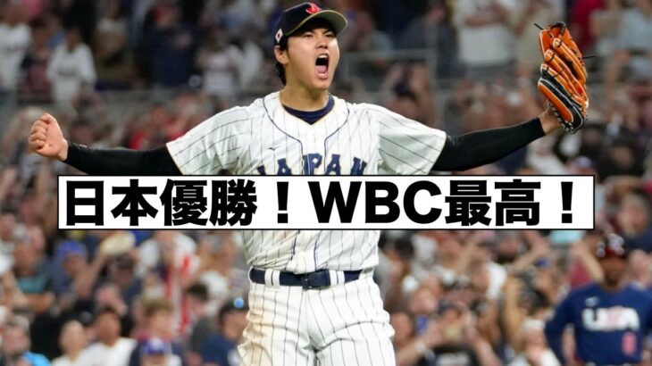 日本優勝！WBC最高！世界各国ファンインタビュー！