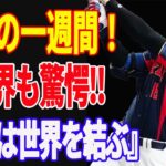 【 大谷翔平 】WBC侍ジャパン 大谷が魅せた「魔法の1週間」元中日助っ人も脱帽した500フィート弾！チェコと結んだ「友好のエール交換」【海外の反応】看板直撃弾　Respect