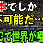 【海外の反応】「こんなの日本でしかありえない！」WBCで日本人ファンが見せた驚きの光景に世界中が唖然…