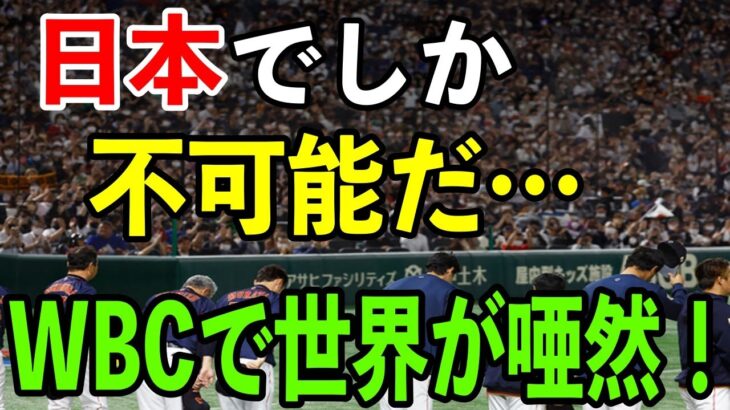 【海外の反応】「こんなの日本でしかありえない！」WBCで日本人ファンが見せた驚きの光景に世界中が唖然…