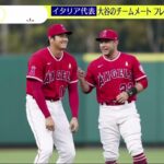 WBC準々決勝へ大谷翔平語る決意…対するイタリアとは? スッキリ 2023.3.16