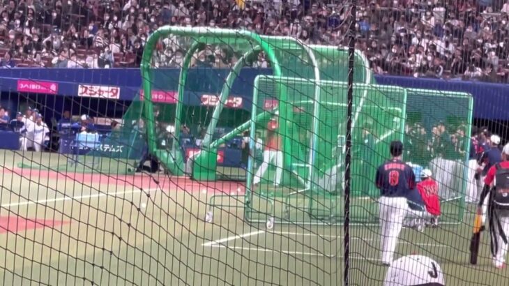 【WBC強化試合】侍ジャパン・大谷翔平選手&ヌードバー選手による打撃練習 230304