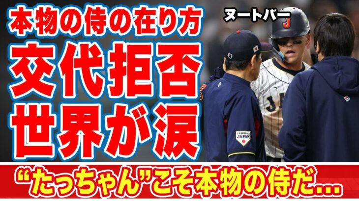 【海外の反応】ヌートバーが負傷で交代拒否した姿に世界中から称賛の嵐！「たっちゃんこそ本物の侍！」大谷翔平通訳の水原一平と栗山監督との衝撃やりとりとは！？【WBC】