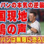 【海外の反応】韓国代表が大谷翔平とヌートバーを本気にさせた時の韓国野球ファンの悲鳴！『侍ジャパンは無限に恐ろしい…』歴史的な大敗に対する本音とは！？【WBC】