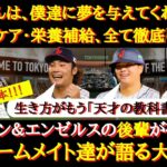 【WBC大谷絶賛】「大谷さんは夢を与えてくれる存在」「身体のケア、トレーニング、姿勢、全てが学びになる存在」侍ジャパン・エンゼルスの後輩たちが語る大谷翔平の凄さとは【日本代表】