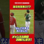 WBCでも！敵陣にガチファン多数。#大谷翔平 #Shorts