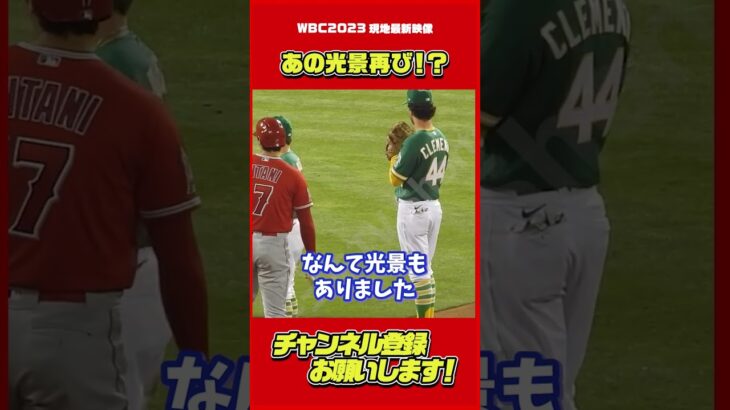 WBCでも！敵陣にガチファン多数。#大谷翔平 #Shorts