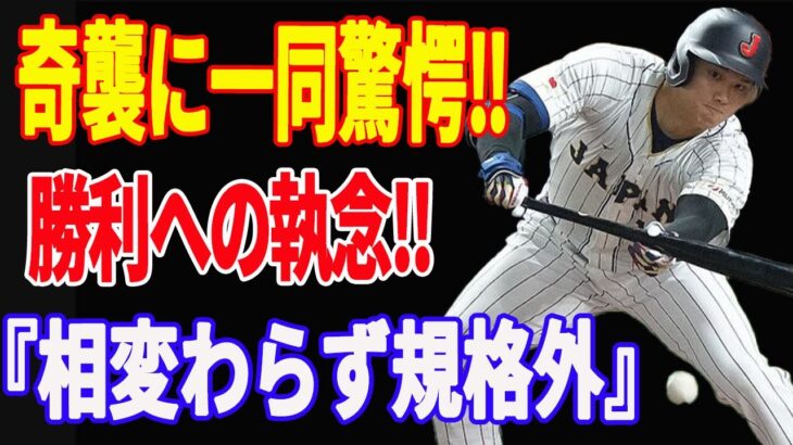 【 大谷翔平 】WBC 準々決勝vsイタリア 魅せた鬼気迫る雄叫び最速164キロの剛速球とセーフティバントに敵将も脱帽！野球小僧が見せた勝利への執念【侍ジャパン】【海外の反応】