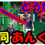 海外の反応  WBC・侍ジャパン!!大谷翔平がたった15分の打撃練習に垣間見えた異次元の行動が「米国の野球の神様」と比較される圧倒的な理由とは？！海外の反応ch ステキな日本