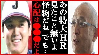 WBC大谷翔平の160m特大アーチに落合博満が放った一言に一同驚愕…憧れ松井秀喜超えWBC強化試合の阪神タイガースVS侍ジャパン日本代表で出場も