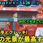 WBCで対決した2人！楽しそうに話す大谷翔平とフレッチ！【現地映像】エンゼルスvsドジャース3/28