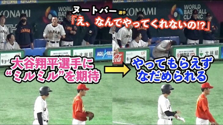 【WBC】大谷翔平選手に“ミルミル”を期待するもやってもらえず！激落ち込みするヌートバー選手が最高すぎる！侍ジャパンの8回怒涛の攻撃！