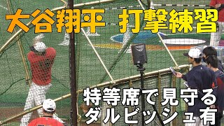 【WBC第１次ラウンド】大谷翔平　チェコ戦前　確実にHRを量産するバッティング練習！