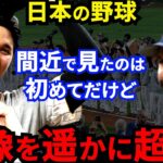 【大谷翔平】WBC侍Jに惜敗した米国主砲が漏らした”本音”がヤバすぎる…ヌートバーの兄貴分も感銘を受けた日本野球にチェコ・メキシコなど世界が拍手喝采【海外の反応】