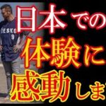 WBCチェコ代表家族が日本滞在中に感動した日本社会の特異性とそこから生み出される素晴らしいものベスト３が話題に！→「日本人はちょっとしたストレスさえ・・・」【海外の反応】（すごいぞJAPAN!）