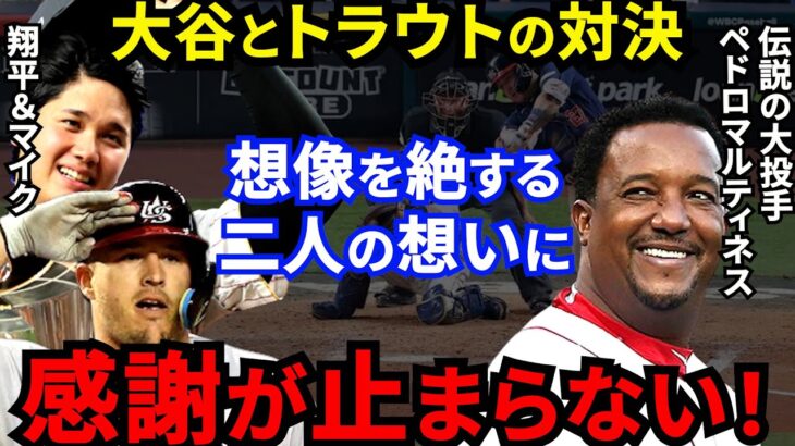 【大谷翔平】WBC制覇直後にペドロマルティネスが贈った”ある一言”とトラウトが漏らした”本音”に感動の嵐…MLBスーパースターが魅せた最高の瞬間に世界の野球ファンが拍手喝采【海外の反応】