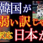 WBC日本優勝を報じた韓国メディアが大谷翔平の非現実的な活躍を独特の言い回しで評し話題に！→「今回のWBCは大谷の・・・」【海外の反応】（すごいぞJAPAN!）