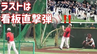 これが大谷‼️韓国選手も打撃練習に見入ってしまう