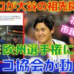 【大谷翔平】チェコ協会が代表入りを画策！ヨーロッパ野球選手権に彼の居場所を作る！