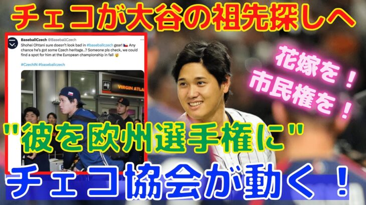 【大谷翔平】チェコ協会が代表入りを画策！ヨーロッパ野球選手権に彼の居場所を作る！