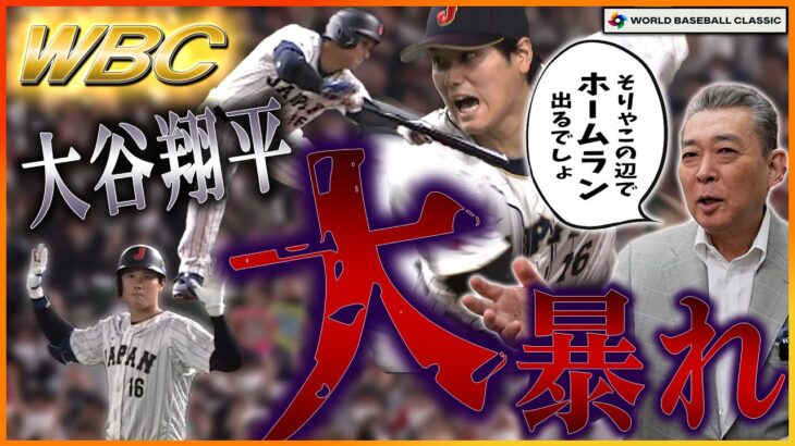 【大谷翔平が大暴れ】大谷のホームランは当たり前！？山本由伸の技術の高さを映像で解説！中野拓夢のバッティングは上手い！