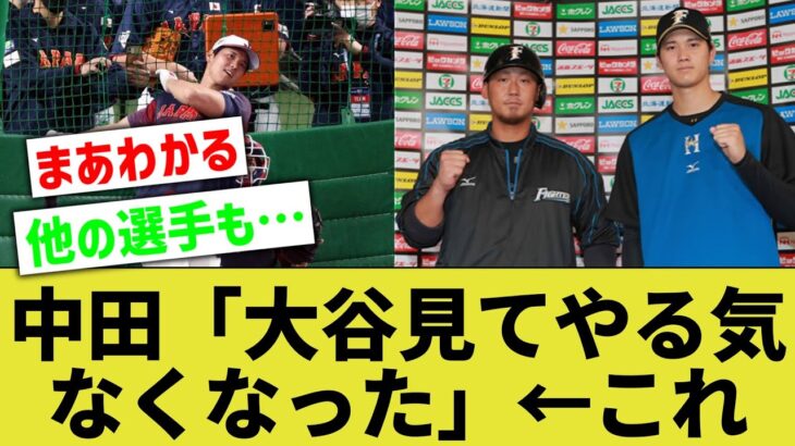 中田翔「大谷見てやる気なくなった、嫌いになりそうで一時期イジめようと思った」←これ正直理解出来なくもないよな【なんｊ反応】