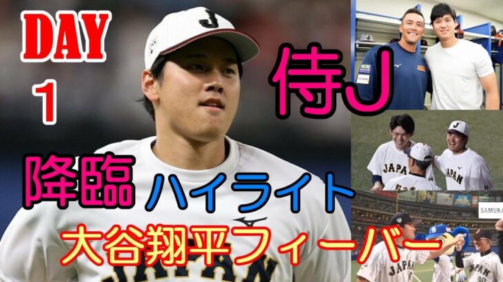 ＷＢＣ　ＤＡＹ１ 大谷翔平 大フィーバー！一部始終！侍ジャパン ハイライト！