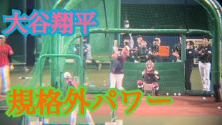 【大谷翔平】大谷翔平とヌートバーのバッティング練習で規格外なパワーを見せつける💕#大谷翔平#ヌートバー