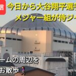 今日から大谷翔平選手を含むメジャー組が侍ジャパンで出場❗気ままに京セラドーム周辺をお散歩🚶‍♀️