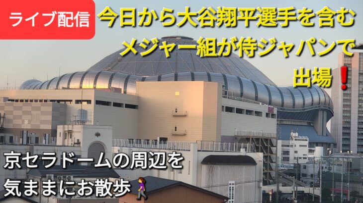 今日から大谷翔平選手を含むメジャー組が侍ジャパンで出場❗気ままに京セラドーム周辺をお散歩🚶‍♀️