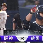 【ハイライト】阪神タイガース vs 韓国【WBC強化試合】